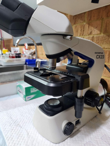 About - Tea Gardens Veterinary Hospital