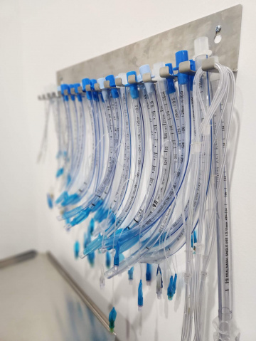 About - Tea Gardens Veterinary Hospital