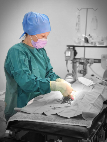 About - Tea Gardens Veterinary Hospital