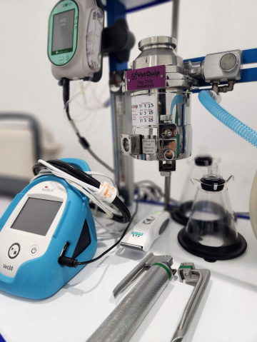 About - Tea Gardens Veterinary Hospital