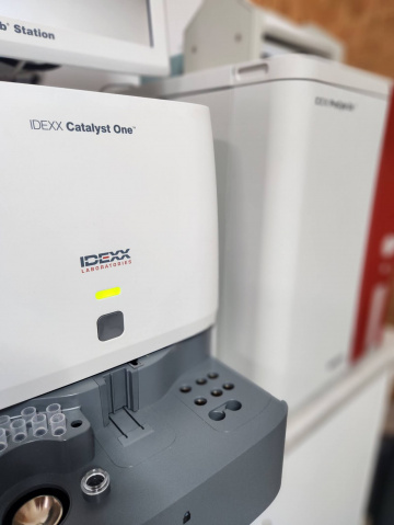 About - Tea Gardens Veterinary Hospital