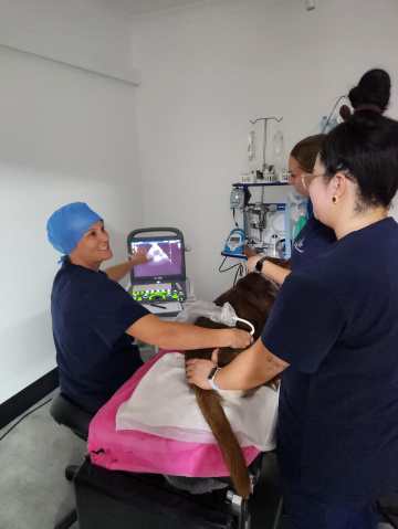 About - Tea Gardens Veterinary Hospital